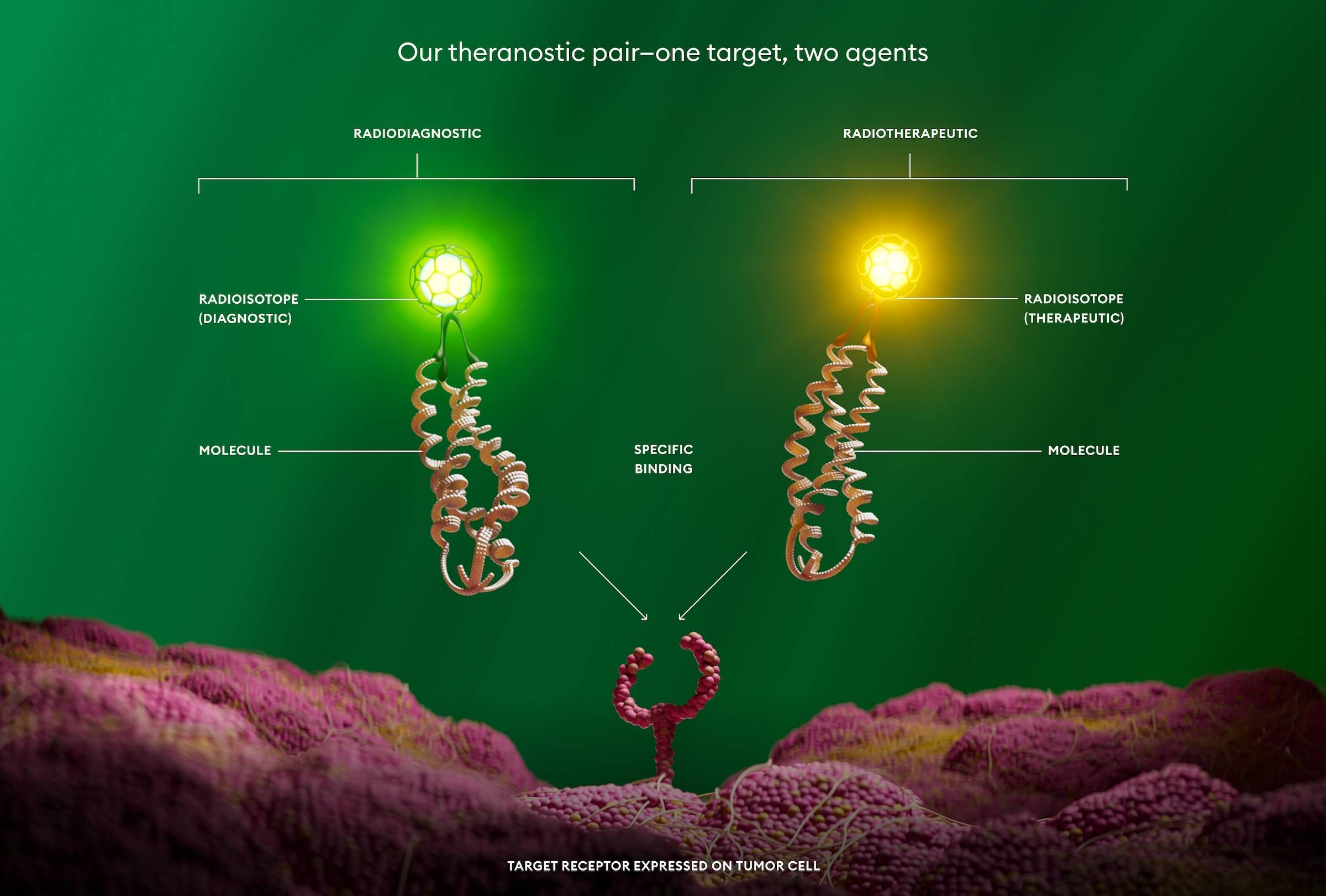 Our theranostic pair-one target, two agents